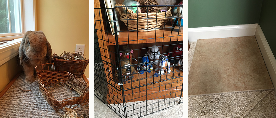 Left: Give rabbits toys to destroy so they do not destroy your furniture. Center: Wire cubes may be made into fences to protect furniture and belongings. Right: A tile in the corner of the carpet can protect rabbits from digging and pulling up the carpet.