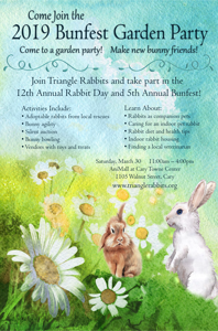 image of flyer for Rabbit Day 2019