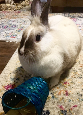 Bridgett with basket toy